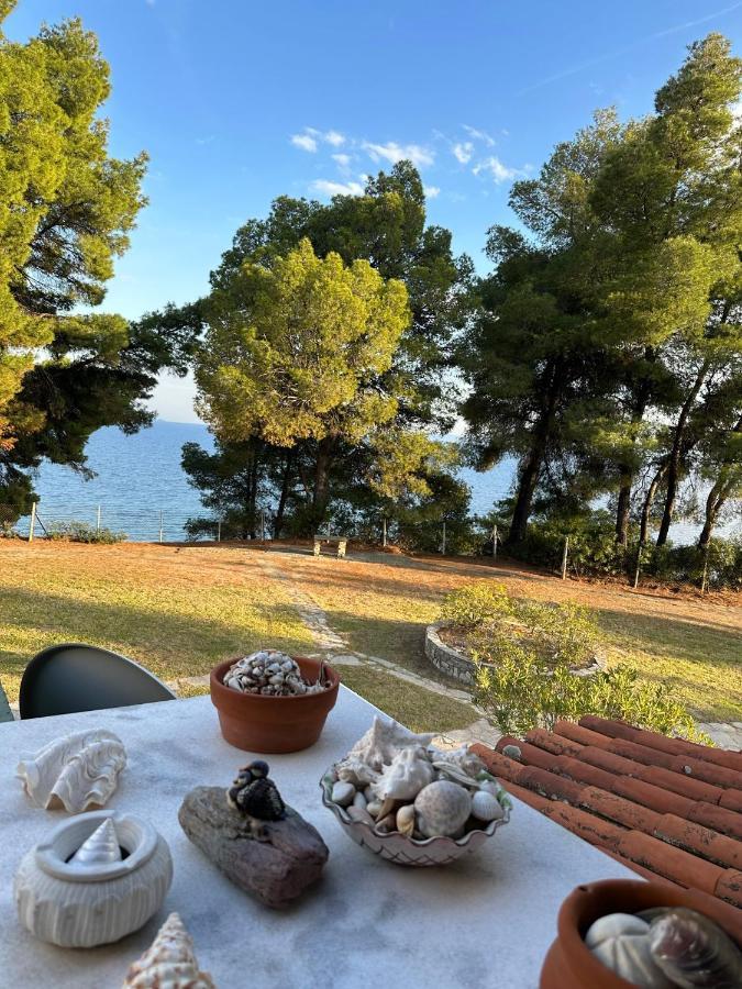Appartamento Squirrels, With View
