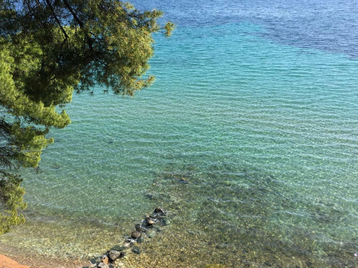 Squirrels, With View Metamorfosi (Sithonia)