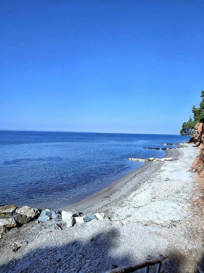 Appartement Squirrels, With View Metamorfosi (Sithonia)